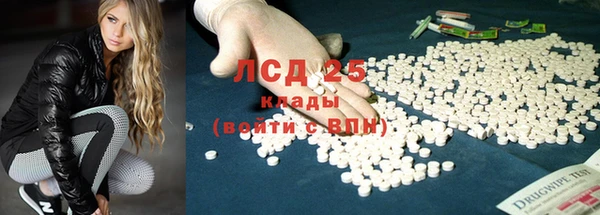 шишки Абинск