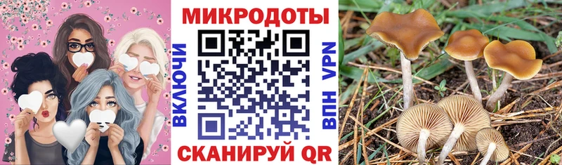 Псилоцибиновые грибы Psilocybine cubensis  hydra ссылка  Абдулино  где можно купить наркотик 